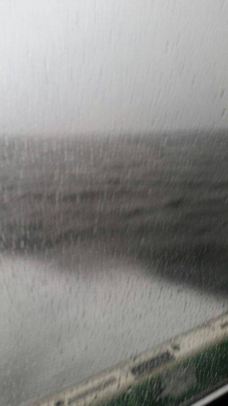 金沢八景鴨下丸 釣果