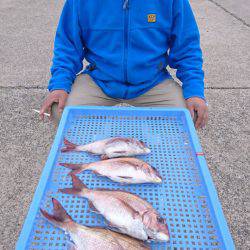 第三共栄丸 釣果