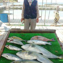 海の釣堀 海恵 釣果