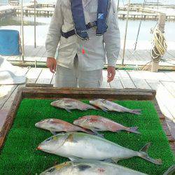 海の釣堀 海恵 釣果