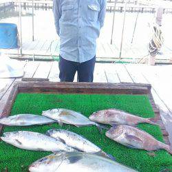 海の釣堀 海恵 釣果