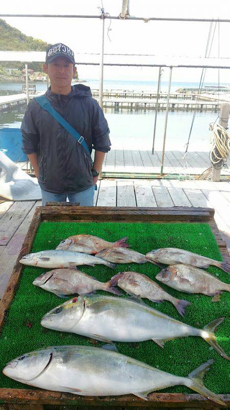 海の釣堀 海恵 釣果