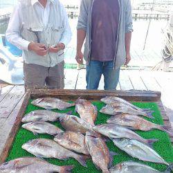 海の釣堀 海恵 釣果