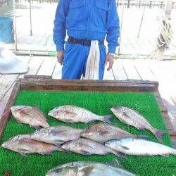 海の釣堀 海恵 釣果