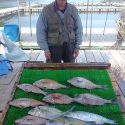 海の釣堀 海恵 釣果