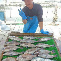 海の釣堀 海恵 釣果