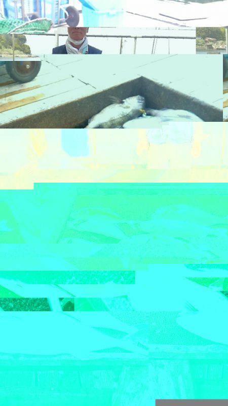 海の釣堀 海恵 釣果