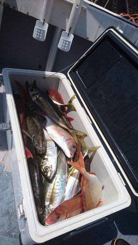 美幸丸 釣果