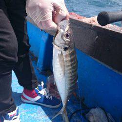 海龍丸（石川） 釣果