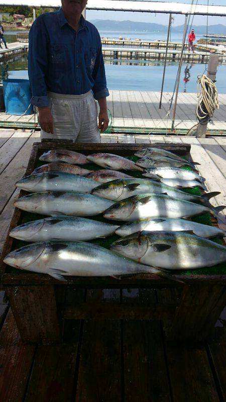 海の釣堀 海恵 釣果