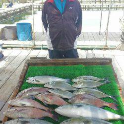 海の釣堀 海恵 釣果