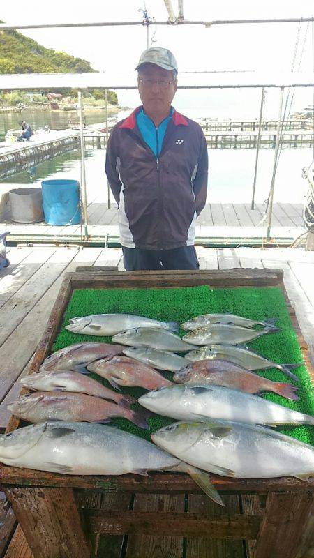 海の釣堀 海恵 釣果