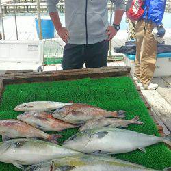 海の釣堀 海恵 釣果