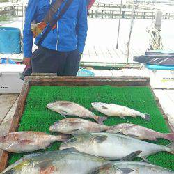 海の釣堀 海恵 釣果