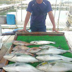 海の釣堀 海恵 釣果