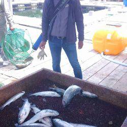 海の釣堀 海恵 釣果