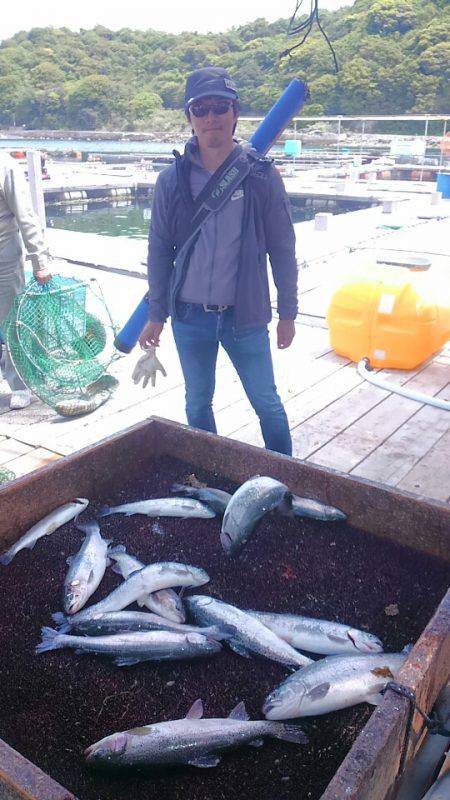 海の釣堀 海恵 釣果