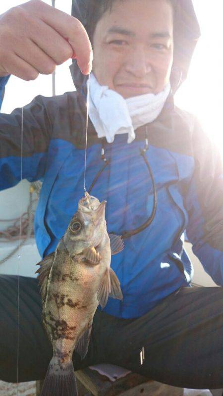 美宝丸 釣果