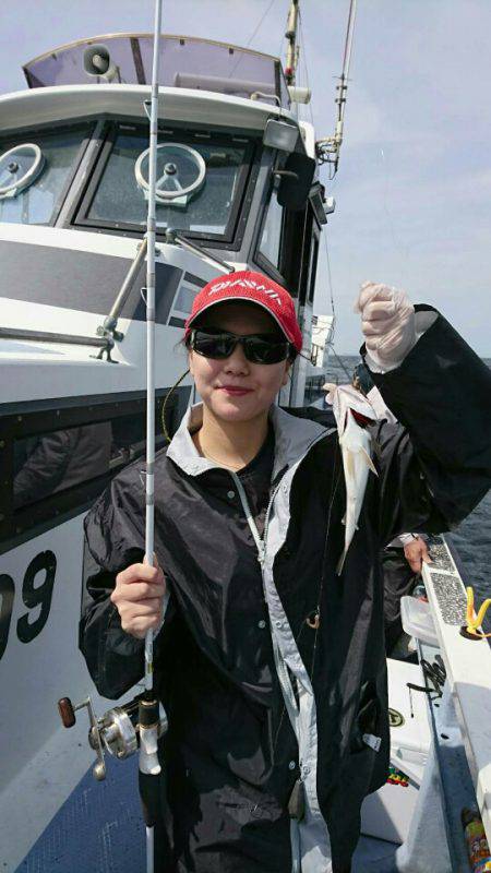 金沢八景鴨下丸 釣果