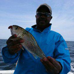 金沢八景鴨下丸 釣果