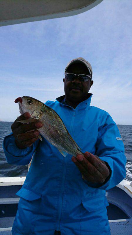 金沢八景鴨下丸 釣果