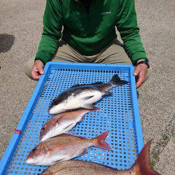 第三共栄丸 釣果