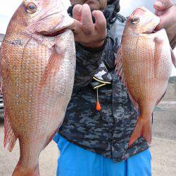 第三共栄丸 釣果