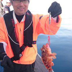 海龍丸（石川） 釣果