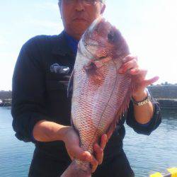 ブルドック 釣果