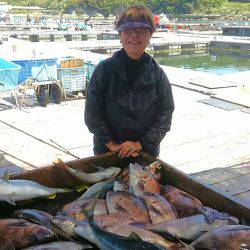 海の釣堀 海恵 釣果