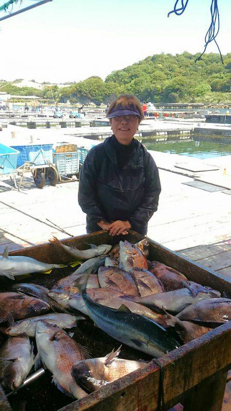 海の釣堀 海恵 釣果