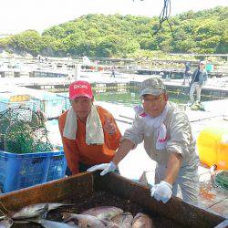 海の釣堀 海恵 釣果