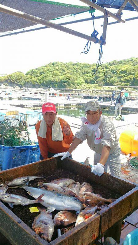 海の釣堀 海恵 釣果