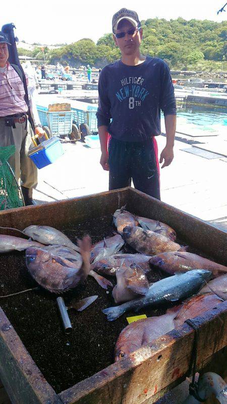 海の釣堀 海恵 釣果