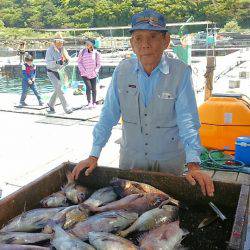 海の釣堀 海恵 釣果