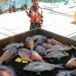海の釣堀 海恵 釣果