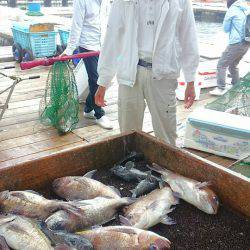 海の釣堀 海恵 釣果