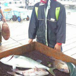 海の釣堀 海恵 釣果