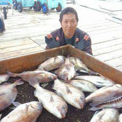 海の釣堀 海恵 釣果