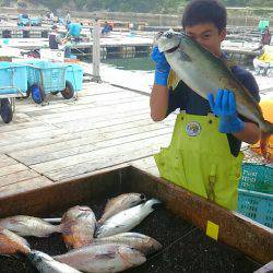 海の釣堀 海恵 釣果