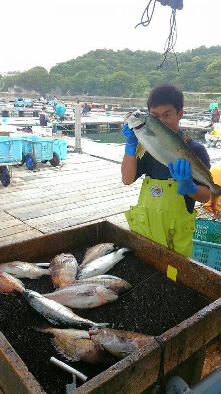 海の釣堀 海恵 釣果