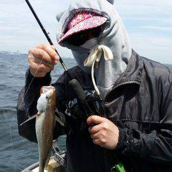 金沢八景鴨下丸 釣果