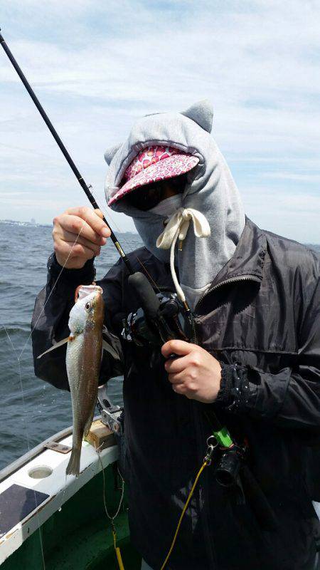 金沢八景鴨下丸 釣果