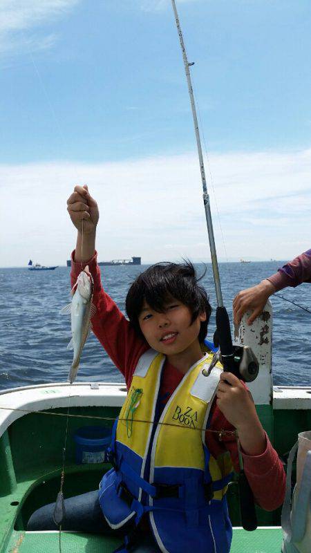 金沢八景鴨下丸 釣果