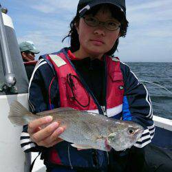 金沢八景鴨下丸 釣果