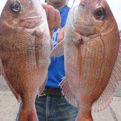 第三共栄丸 釣果