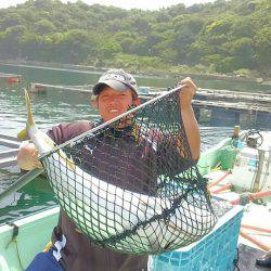 海の釣堀 海恵 釣果