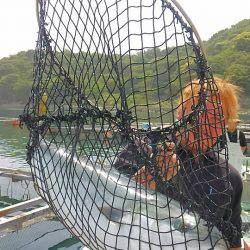 海の釣堀 海恵 釣果