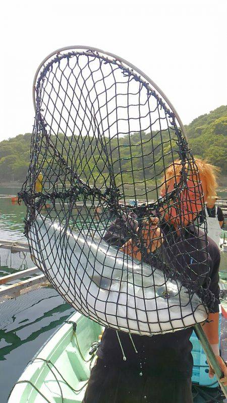 海の釣堀 海恵 釣果
