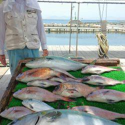海の釣堀 海恵 釣果